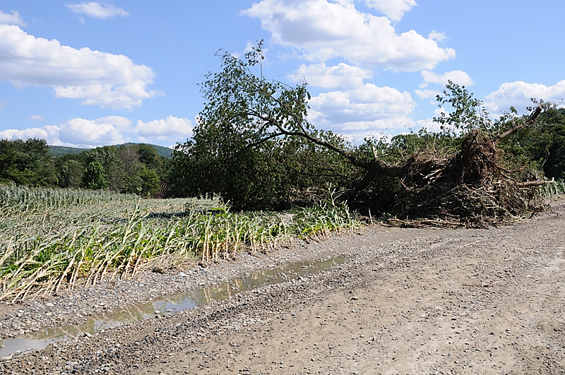 Lower Bartonsville Road The NERAIL New England Railroad Photo Archive