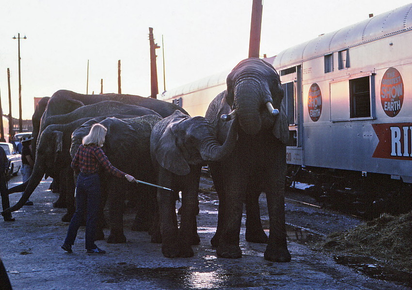 NERAIL Railroad Photos
